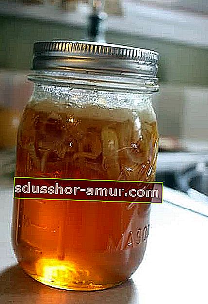 мед и луковый сироп
